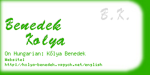 benedek kolya business card
